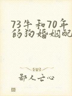 73牛和70年的狗婚姻配吗