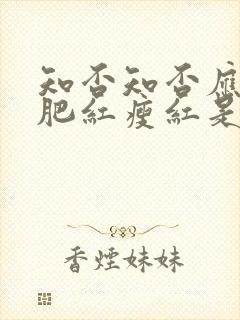 知否知否应是绿肥红瘦红是什么花