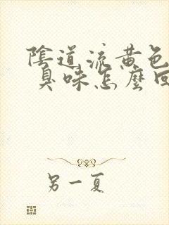 阴道流黄色液体 臭味怎么回事