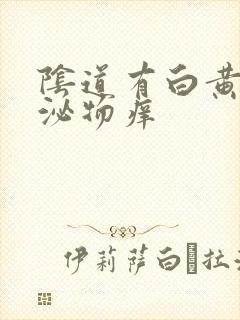 阴道有白黄色分泌物痒