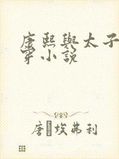 康熙与太子妃清穿小说