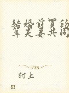 结婚前买的房子算夫妻共同财产吗