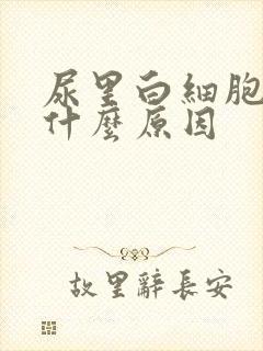 尿里白细胞高是什么原因