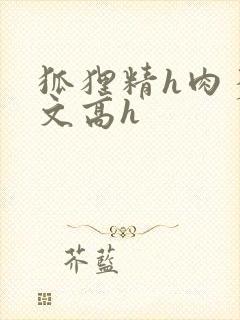 狐狸精h肉多荤文高h