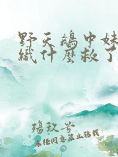 野天鹅中妹妹编织什么救了哥哥