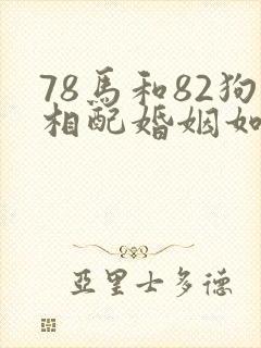 78马和82狗相配婚姻如何