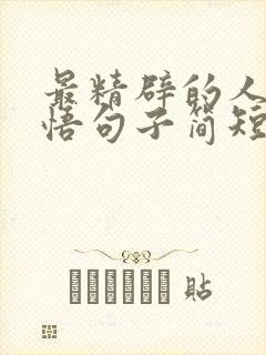 最精辟的人生感悟句子简短