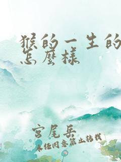 猴的一生的命运怎么样