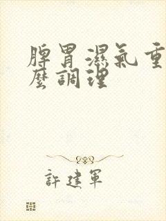 脾胃湿气重 怎么调理