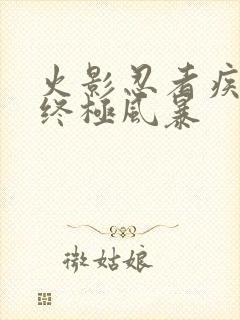 火影忍者疾风传终极风暴