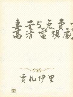 妻子5免费完整高清电视剧看