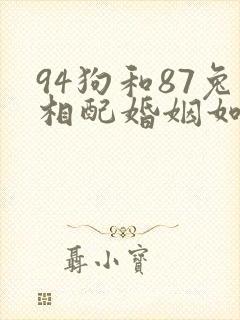 94狗和87兔相配婚姻如何