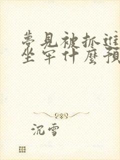 梦见被抓进监狱坐牢什么预兆