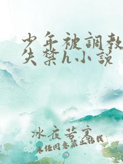 少年被调教爽到失禁h小说