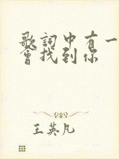 歌词中有一句我会找到你