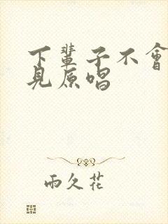 下辈子不会再遇见原唱