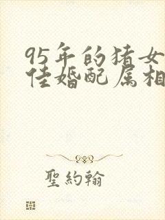 95年的猪女最佳婚配属相