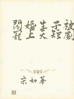 闪婚生子被老公宠上天短剧免费观看