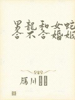 男龙和女蛇属相合不合婚姻