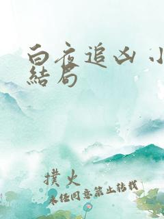 白夜追凶 小说结局