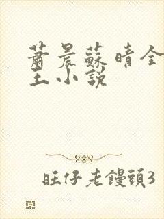 萧晨苏晴全能兵王小说