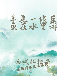 梦见一条巨型大鱼在水里游