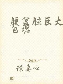 腹盆腔巨大囊性包块