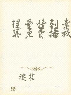 从爱情到幸福全集免费播放在线观看