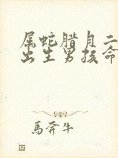 属蛇腊月二十二出生男孩命运