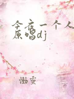 今夜一个人醉的原唱dj