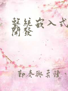 系统嵌入式软件开发