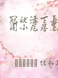 冠状沟下长了一圈小疙瘩怎么回事