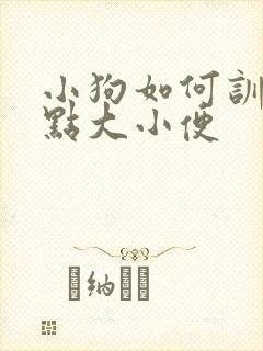 小狗如何训练定点大小便