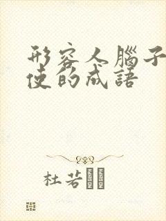 形容人脑子不好使的成语