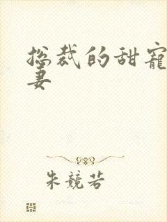 总裁的甜宠小娇妻