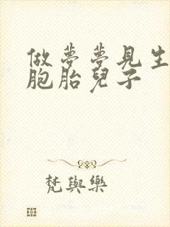 做梦梦见生了双胞胎儿子