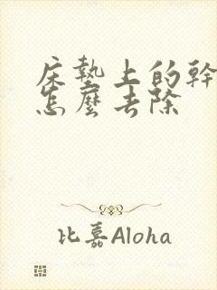 床垫上的干尿渍怎么去除