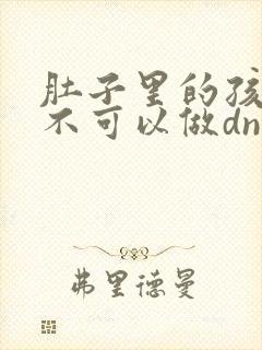 肚子里的孩子可不可以做dna亲子鉴定