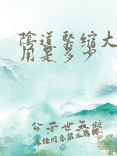 阴道紧缩大概费用是多少