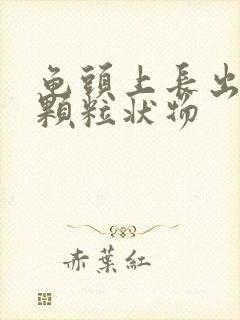 龟头上长出白色颗粒状物