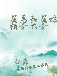 属马和属蛇的属相合不合