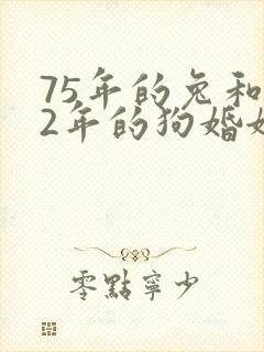 75年的兔和82年的狗婚姻状况