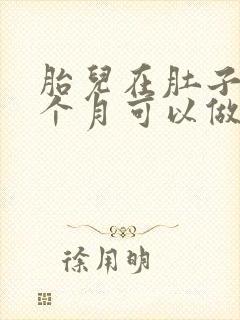 胎儿在肚子里几个月可以做亲子鉴定