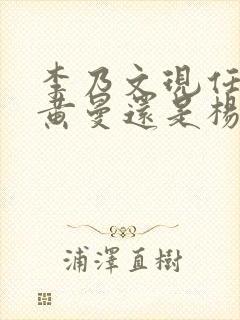 李乃文现任妻子黄曼还是杨婷