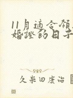 11月适合领结婚证的日子