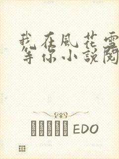 我在风花雪月里等你小说阅读