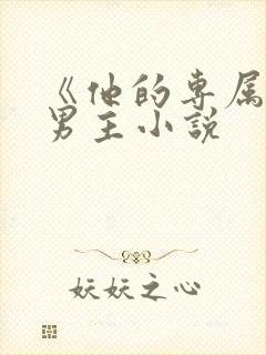 《他的专属》双男主小说