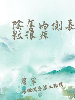 阴唇内侧长小颗粒很痒