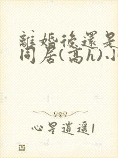 离婚后还是选择同居(高h)小说