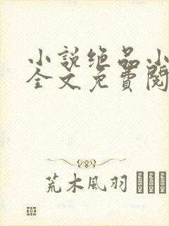 小说绝品小仙医全文免费阅读